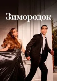 Зимородок (1-3 сезон) смотреть онлайн Лордфильм